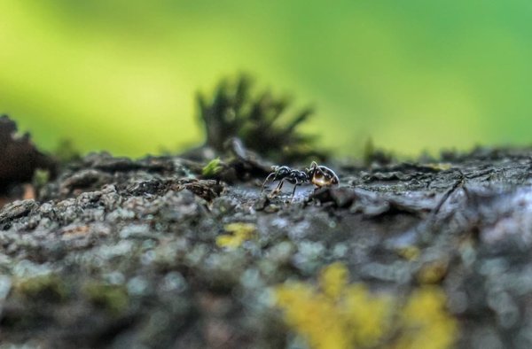Quelle est la meilleure façon de dissimuler une machine à laver dans une cuisine ?