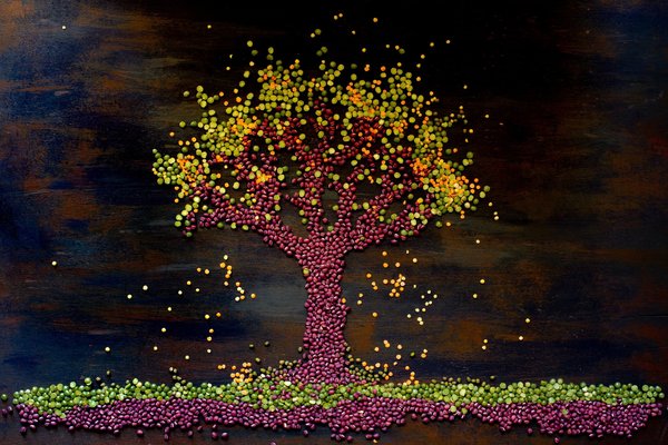 Comment intégrer un mur végétal dans votre salon ?